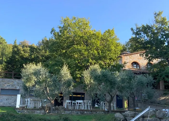Appartamento Le Polle Di Meletro - *